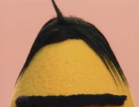 Ewhair-homevideo.jpg