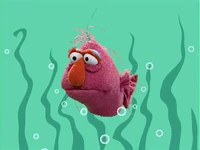 Ewwater-tellyfish.jpg