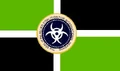 ACIDflag.jpg