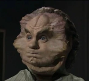 Phlox face