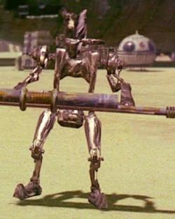 ASP-7.jpg