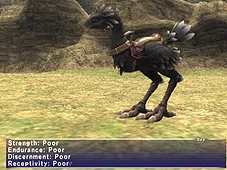 Chocobo Racing is HERE! (03-29-2007)-6.jpg