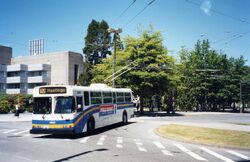 Ecobus