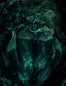 Shelob