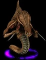 Zerg portrait