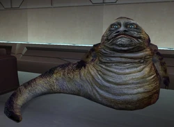 Ajuur.jpg