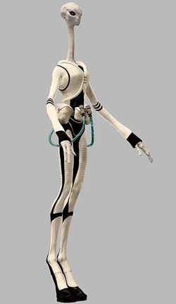Ko-sai.jpg