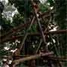 Mini-trebuchet.jpg
