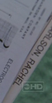 Rachel name.jpg