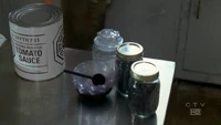 Fs-gs-03