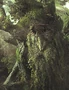 Ent