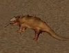 Iccsplizard.jpg
