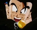 Gohan 252-81
