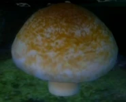 -15Growshroom