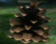 -20Conifer Spire