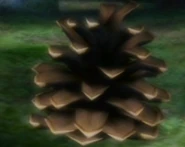 -20Conifer Spire
