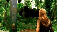 Left-behind-cap0873.jpg