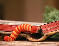 4124b