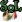 Icon-sol-22x22