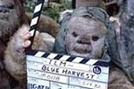 Ewokdirector.jpg