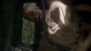 3X10 RogerIsFound.jpg