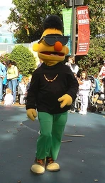 Bertsesameplace