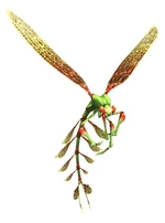 Fly.jpg
