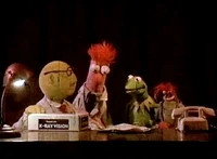 TMS-live-BVD.jpg
