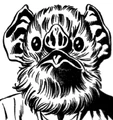 Fandar.png