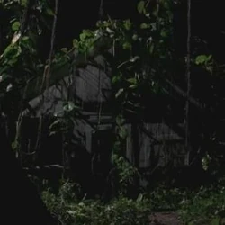 3x20 Jacobs House.JPG