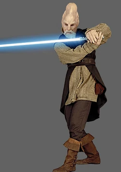 Ki-Adi-Mundi battle.jpg