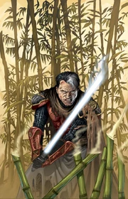 SwLegacy13.jpg