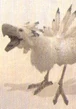 FFXIIWhiteChocobo