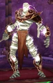 Researcher Navuud.jpg