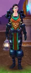 Skyguard Stable Master