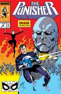 Punisher Vol 2 22