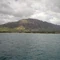 Mini-LargeMakahaMakua.jpg