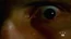 Auge