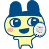 Wiki