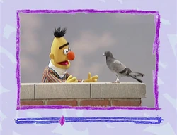 Ewbirds-bert