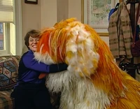 Ewdogs-barkleylinda.jpg