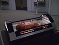 Incubator.jpg