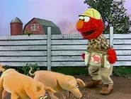Ewfarm-farmer