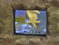 2682t