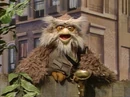 Hoots the Owl