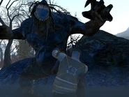 Frostswamp 1