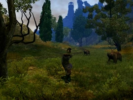 Zelata3