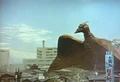 Rodan7