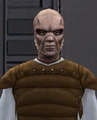 Gonlo.jpg