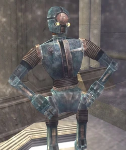 C9-T9.jpg